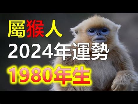 1980屬猴2023運勢|【2023兔年運勢全預測14】生肖猴運勢谷底翻身，正。